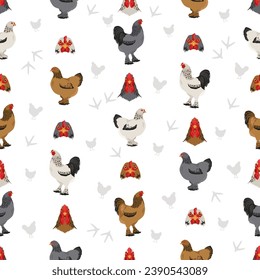 Brahma Chicken breeds seamless pattern. Poultry and farm animals. Different colors set.  Vector illustration