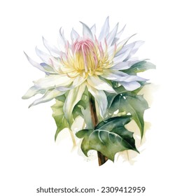 Brahma Kamal Watercolor. brahma kamal flower. 