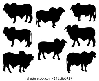 Brahman Bull silhouette vector art white background