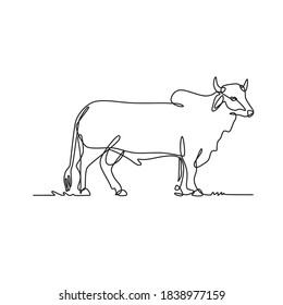 Brahman Bull Standing Side View Continuous Line Drawing Black and White Illustration 