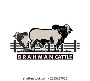 BRAHMAN CATTLE BREEDS LOGO, silhouette of great bull at ranch vector illustrations