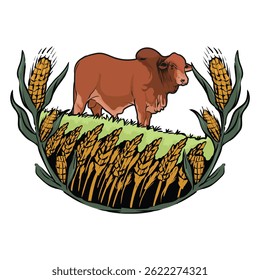 brahman cattle logo with separate white background