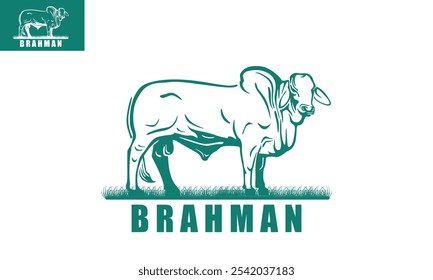 brahman cattle standing logo, great silhouette of big cow in farm vector illustrations