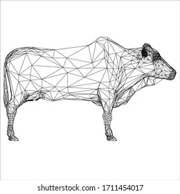 Brahman cow polygonal lines illustration. Abstract vector cow on the white background