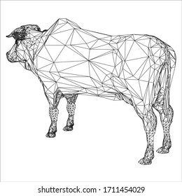 Brahman cow polygonal lines illustration. Abstract vector cow on the white background