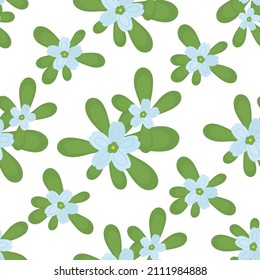 Brahmi (Bacopa monnieri). Medicinal herb. Color vector background with leaves and flowers. Seamless pattern.