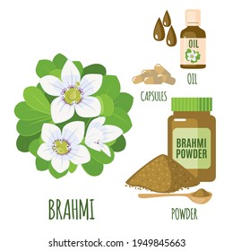 Brahmi set with powder, oil and capsules in flat style isolated on white background. Bacopa monnieri, Waterhyssop, gratiola, Indian pennywort. Medicinal plant. Vector illustration.