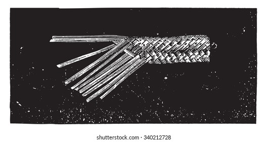 Braid Italy, Tuscan pedal, 11 tips, united, vintage engraved illustration. Industrial encyclopedia E.-O. Lami - 1875.
