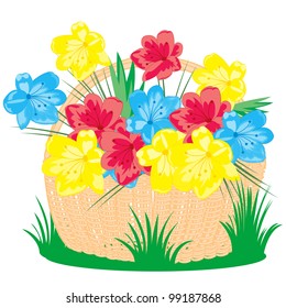 Braided basket with field flower on white background