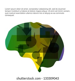 brain