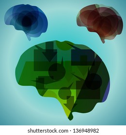 brain