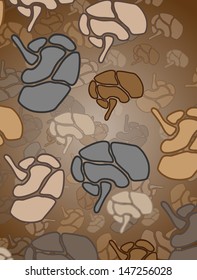 Brain