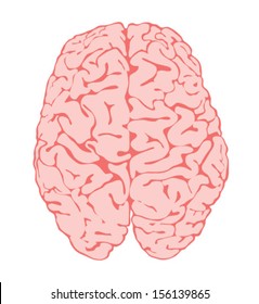 BRAIN