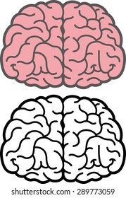Brain