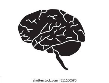 Brain