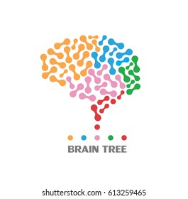 brain