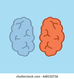 Brain.