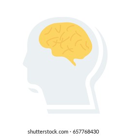 brain