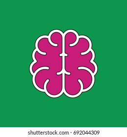 brain