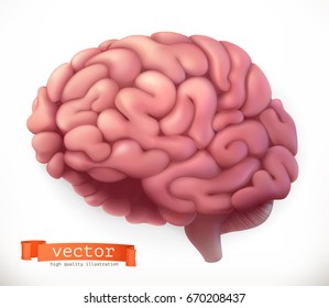 Brain. 3d vector icon.