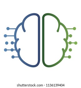 brain activity. cognitive system of the human brain