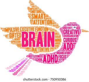 Brain ADHD word cloud on a white background. 