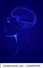 Brain Anatomy Blue Blank in woman scull, vector illustration.