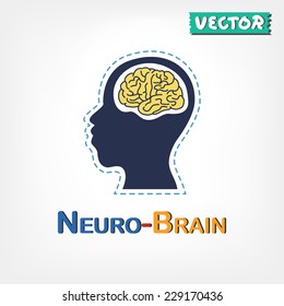 Brain anatomy ( frontal lobe , parietal lobe , temporal lobe , occipital lobe , cerebellum , brain stem )