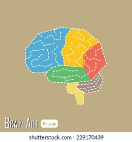 Brain anatomy ( frontal lobe , parietal lobe , temporal lobe , occipital lobe , cerebellum , brain stem )