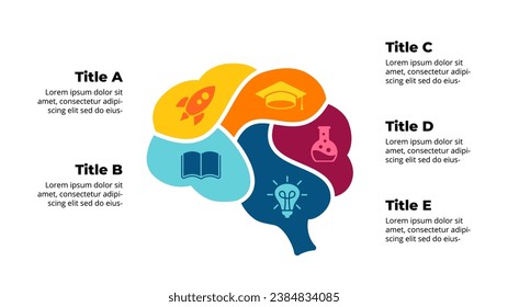 Brain Anatomy Infographic. Educational Creative Thinking Concept. Emotional Intelligence. Diagram 5 steps. Generating Ideas Brainstorming. Psychological, Medical or Scientific icon. Human Intellect