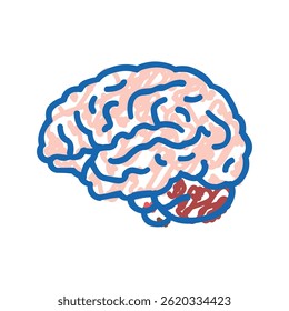 órgão da anatomia do cérebro ícone doodle esboço vetor. sinal de órgão da anatomia do cérebro. símbolo isolado ilustração