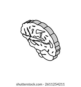 brain anatomy organ isometric icon vector. brain anatomy organ sign. isolated symbol illustration