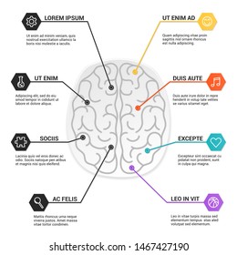 Brain anatomy structure, infographic. Functions of the mind, intelligence, logic, memory, behaviour, learning, emotions. Psychology concept