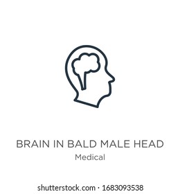 Brain in bald male head icon. Thin linear brain in bald male head outline icon isolated on white background from medical collection. Line vector sign, symbol for web and mobile