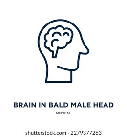 brain in bald male head icon from medical collection. Thin linear brain in bald male head, head, bald outline icon isolated on white background. Line vector brain in bald male head sign, symbol for 