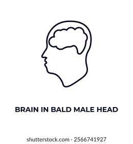 brain in bald male head outline icon. Linear vector from medical concept. Thin line brain in bald male head icon isolated on white background