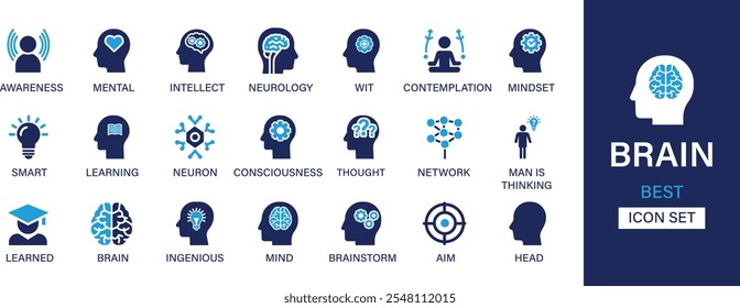 Brain best solid icon set collection. Awareness, mental, intellect, neurology, wit, contemplation, mindset, smart, learning, mind and vector illustration.