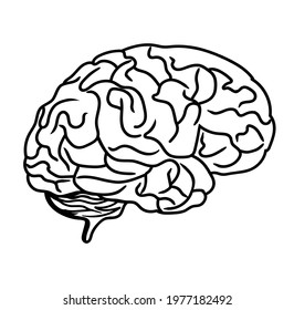 Brain black line drawing vector on white background