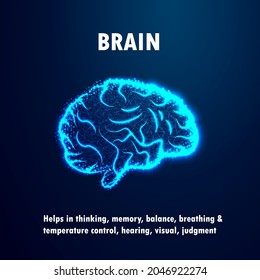 azul brillante sobre fondo azul oscuro con su función diseño de concepto plano
