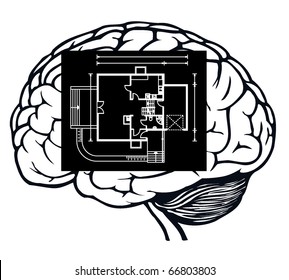 brain with blueprint in it for web design