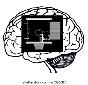 brain with blueprint in it for web design