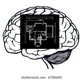 brain with blueprint in it for web design
