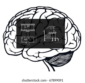 brain with blueprint in it for web design