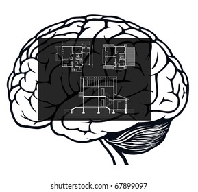 brain with blueprint in it for web design