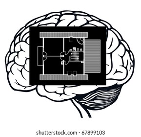 brain with blueprint in it for web design