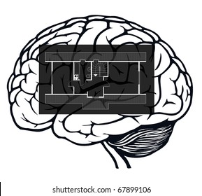 brain with blueprint in it for web design