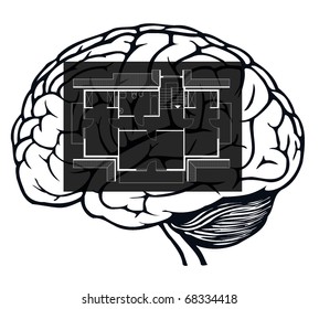 brain with blueprint in it for web design