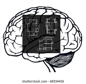 brain with blueprint in it for web design