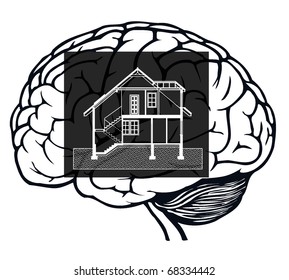 brain with blueprint in it for web design