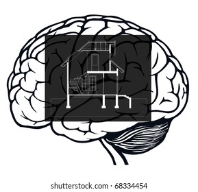 brain with blueprint in it for web design